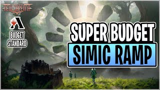 Play SIMIC RAMP on a 5 RARE BUDGET  Budget MTG Arena  Ranked  New Capenna Standard [upl. by Irek]