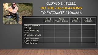 Biomass Calculations [upl. by Bathesda398]