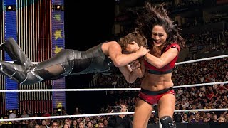 Brie Bella takes the fight to Stephanie McMahon SummerSlam 2014 [upl. by Dilan]