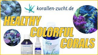 Roberts Secret Sauce From KorallenZucht For Growing Healthy amp Colorful Corals [upl. by Hgierb]