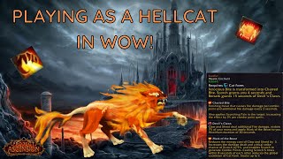 FIRECAT in World of Warcraft Lucifur Mystic Enchant  Project Ascension [upl. by Eitirahc]