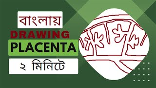 Placenta II Structure of placenta II Drawingdescription II ১ বার শিখে ফেললে আঁকতে পারবে দুই মিনিটে [upl. by Heinrick]