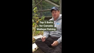 Top 5 Baits for Canada Walleye ✅ shorts [upl. by Handy]