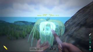 ARK Survival Evolved How to get BioToxin and Craft Shocking Tranq Darts [upl. by Brockie917]