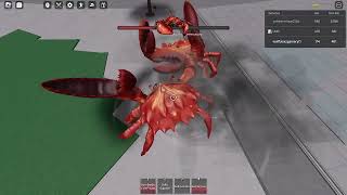 crab vs crab epica batalla [upl. by Atiras403]