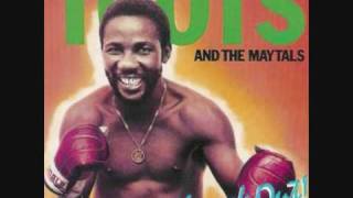 Toots amp The Maytals  Will You Be Kind [upl. by Namlas]