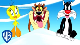 Looney Tunes en Español 🇪🇸  Hora de aventuras con Piolín Taz y Silvestre  WB Kids [upl. by Mcnair293]