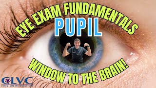 Pupillary light reflex  Highyield neuroophthalmology review [upl. by Ahseined490]