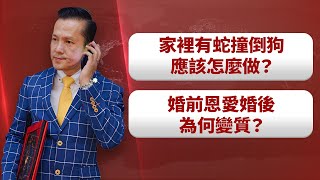 巡禮天下QampA：家裡出現蛇，又撞到狗，該怎麼做？婚前恩愛婚後為何變質？ [upl. by Ayila]