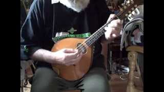 Sobell Mandolin The Whinny Hills of Leitrim Radicans Mother [upl. by Eimme]