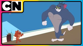 Tom amp Jerry 😺🐭 Just Cat amp Mouse Things  tomandjerry  Funny Cartoons  cnindia [upl. by Rosalynd]