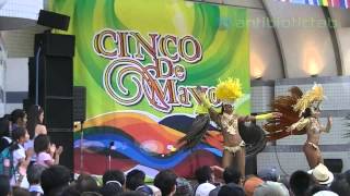 Cinco De Mayo 2014 Japan シンコ・デ・マヨ・フェスティバル 2014 東京会場 代々木公園 [upl. by Nylirehs]