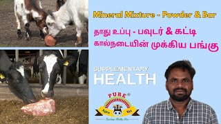 Mineral Mixture  Powder amp Bar  தாது உப்பு  பவுடர் amp கட்டி கால்நடையின் முக்கிய பங்கு [upl. by Nialb]