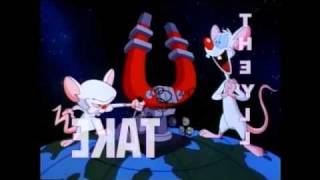 Pinky Y Cerebro  Opening Latino [upl. by Kluge835]