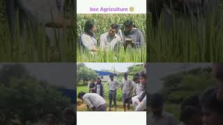 BSc Agriculture  Agronomy Practical Classes  SoA University Bhubaneswar [upl. by Aihk]