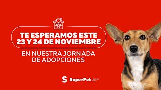 ¡Tercera jornada de adopciones a nivel nacional 🐾 [upl. by Brynn]