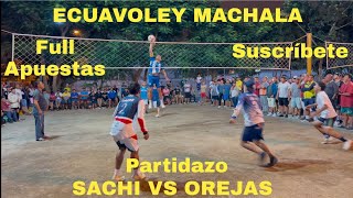 Sachi vs Orejas 😱 Revancha full apuestas [upl. by Andromeda612]