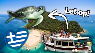 Opzoek naar Zeeschildpadden op Vakantie  Leuke Excursie of Dierenleed [upl. by Yereffej]