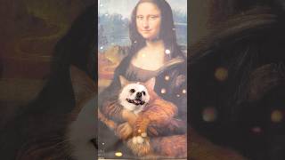 Monalisa hugs Niconico smartnico cute funny pets [upl. by Stahl596]