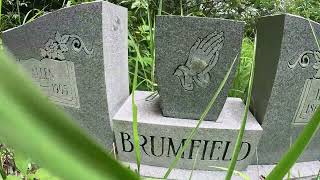 Al Brumfield cemeteryLincoln county feud familyHarts West Virginia [upl. by Arikaahs]