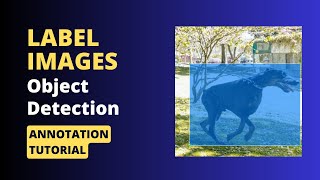 Label Images for Object Detection  Annotate Images using labelImg Annotation Tool [upl. by Assilanna]