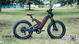 PXID ANTELOPE P5 Ebike 1000w Electric Bike Fat Tire Mountain Bike [upl. by Lebam375]