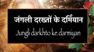 जंगली दरख्तों के दर्मियान Jungli darkhto ke darmiyan [upl. by Nnaaras149]