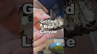 Eating Bee Larvae in Vietnam [upl. by Gilges]