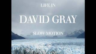 David Gray  Slow Motion with Lyrics [upl. by Sorcim]