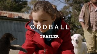 ODDBALL Trailer YouTube [upl. by Darrel]