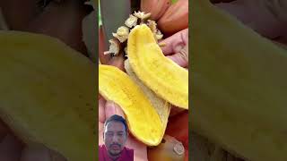 Fruit cutting fruit naturallifeb satisfying naturalclips fruitcutting naturelife nature amaz [upl. by Stewart]