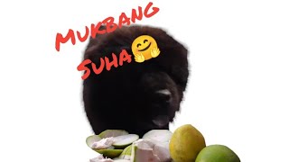 MUKBANG SUHA  Green Skin Pomelo  CHOWS RARE [upl. by Kiyohara217]