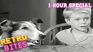 Lassie  1 Hour Compilation  Full Episodes  Kids Cartoon  Videos For Kids [upl. by Aralc]