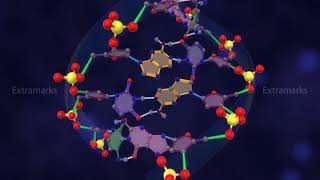 Primary Structure of DNA [upl. by Brackett]