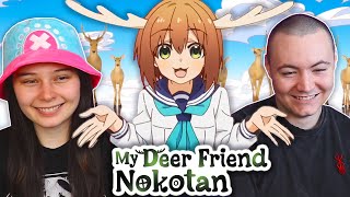 My Deer Friend Nokotan Opening amp Ending REACTION 「しかのこのこのここしたんたん」OP amp ED [upl. by Haliled423]