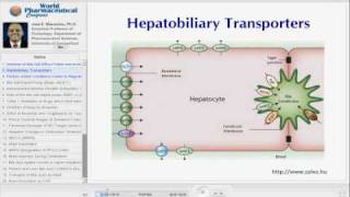 MECHANISTIC INSIGHTS INTO HEPATOTOXICITY [upl. by Esmeralda218]