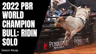 2022 PBR World Champion Bull Ridin Solo Top Highlights [upl. by Macegan]