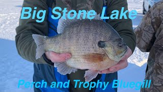 Big Stone Lake Seasonal Ice Fishing Patterns Perch and Big Bluegill [upl. by Ellehsal652]