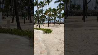 Hotel Catalonia Royal Bávaro 🌺 puntacana allinclusive dominicanrepublic [upl. by Valley]