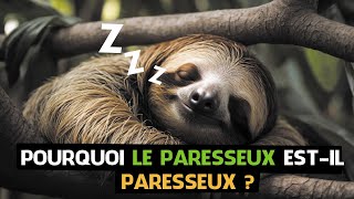 🤔 Pourquoi Le Paresseux EstIl Vraiment Paresseux  🦥 [upl. by Eihs]