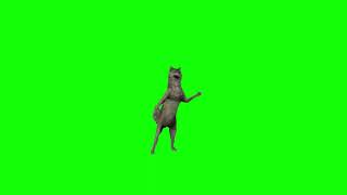 Animated Green Screen Wolf Dancing and Gestures Pack Ijbiñij [upl. by Seuqcaj287]