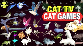 CAT GAMES ULTIMATE CAT TV COMPILATION  BEST CAT GAMES ON SCREEN  CAT amp DOG TV 4K 8 HOURS [upl. by Beatriz759]