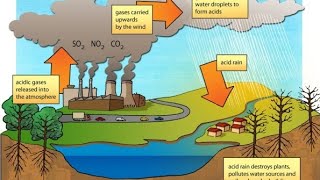 Pengaruh Air Hujan Asam Pada Lingkungan dan Produktivitas Pertanian [upl. by Leidgam]