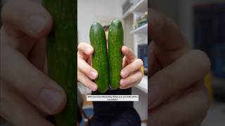 I Didn’t Know People Ate CUCUMBERS Like This [upl. by Mrots]