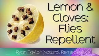 How To Get Rid of Flies Quickly with Lemon and Cloves [upl. by Sorci]