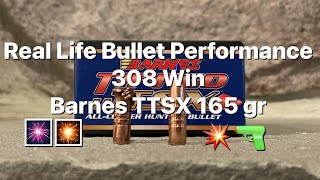 Real world bullet performance 308 Win Barnes TTSX 165 gr [upl. by Kennet]