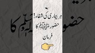 Har Bimari ka ilaj 🤲😷  Beautiful Hadees 💗 hadees hadith quran health shifa shorts dua sick [upl. by Bathsheeb]