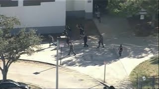 Fusillade dans un lycée en Floride au moins 17 morts le tireur interpellé [upl. by Olegnaid]