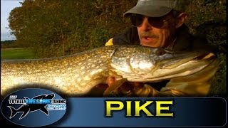 Pike fishing  Sprats vs Sardines  Battle of the Baits [upl. by Llenrag]