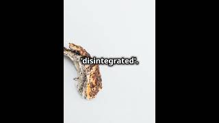 What Does Disintegrate Mean Learn and Use Itgrammarenglishlanguagevocabularyeducationshorts [upl. by Sum]